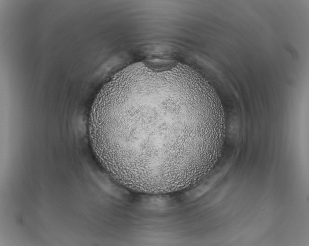 X0000110980282200907022102