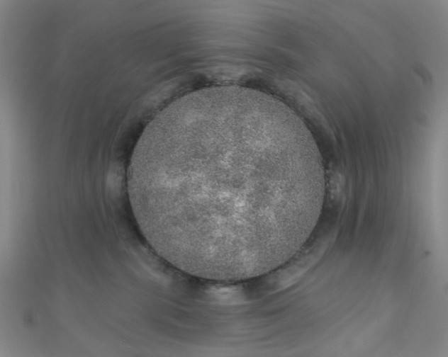 X0000110980283200907022102