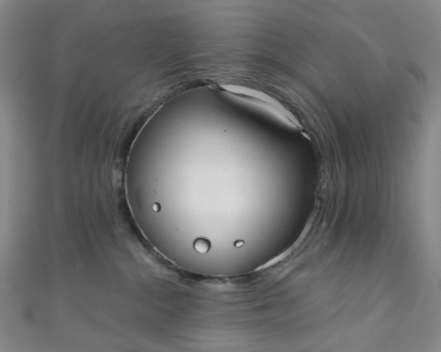 X0000110980284200907022103