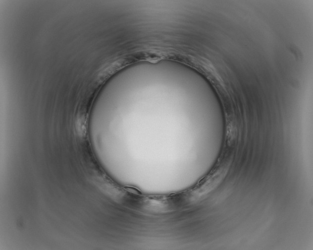 X0000110980285200907022103