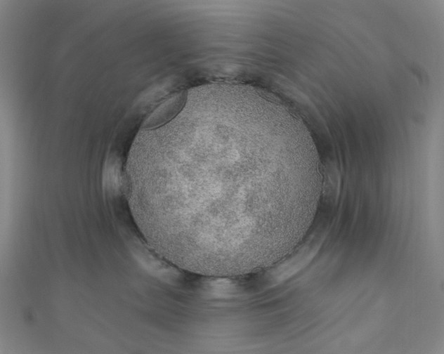 X0000110980287200907022103