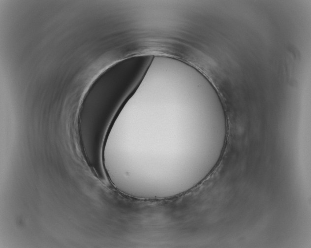 X0000110980289200907022102