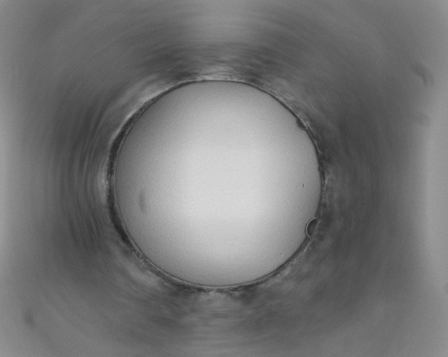 X0000110980290200907022102