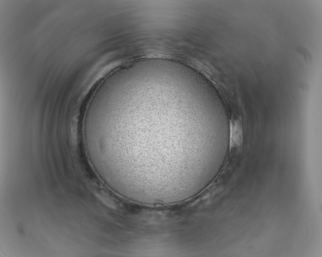 X0000110980291200907022102