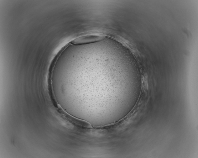 X0000110980292200907022102