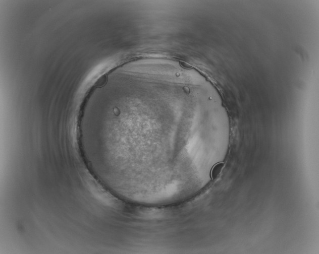 X0000110980293200907022102