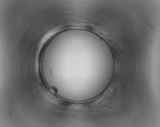 X0000110980294200907022102