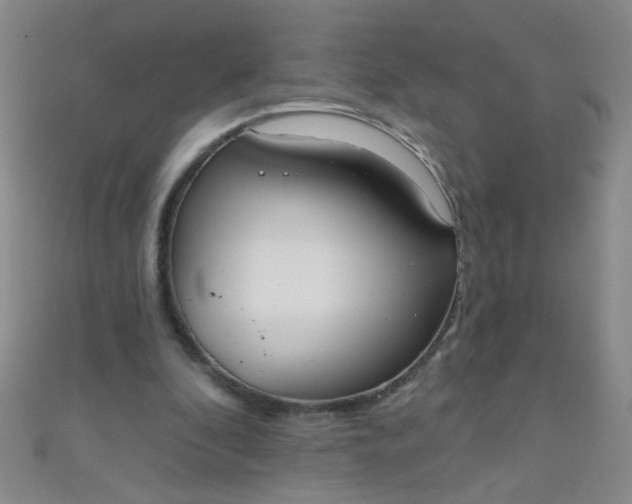 X0000110980296200907022102