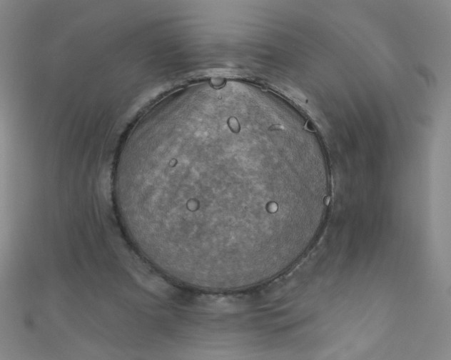 X0000110980297200907022102