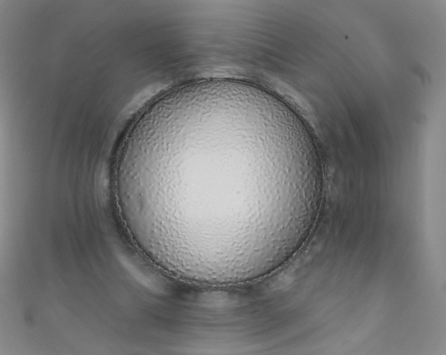 X0000110980298200907022102