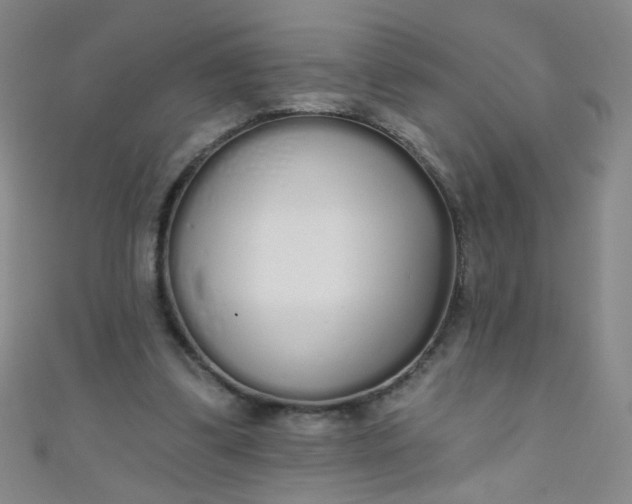 X0000110980299200907022102