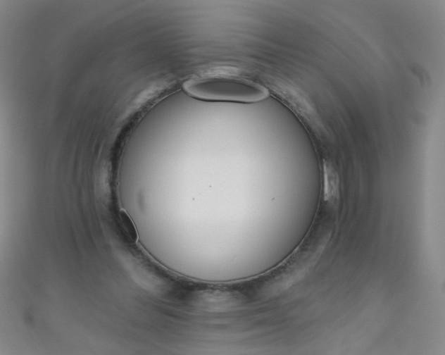 X0000110980300200907022102