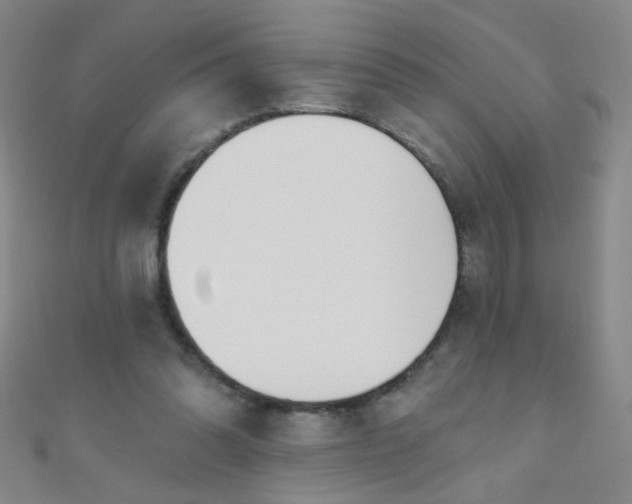 X0000110980302200907022102