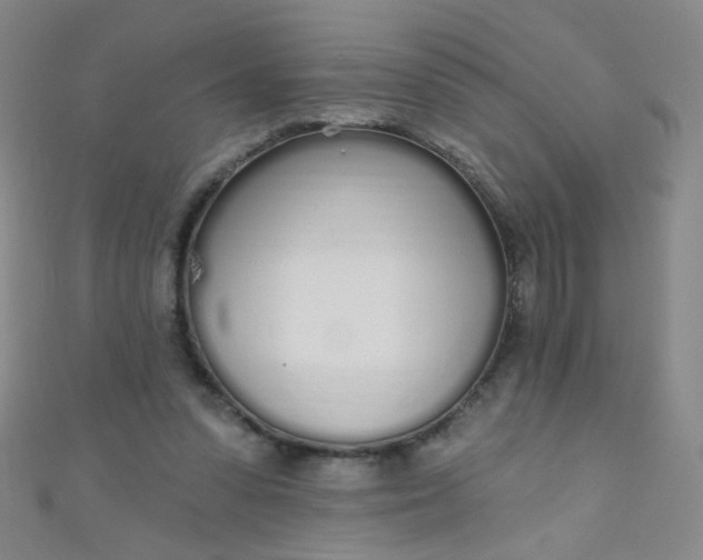 X0000110980303200907022102