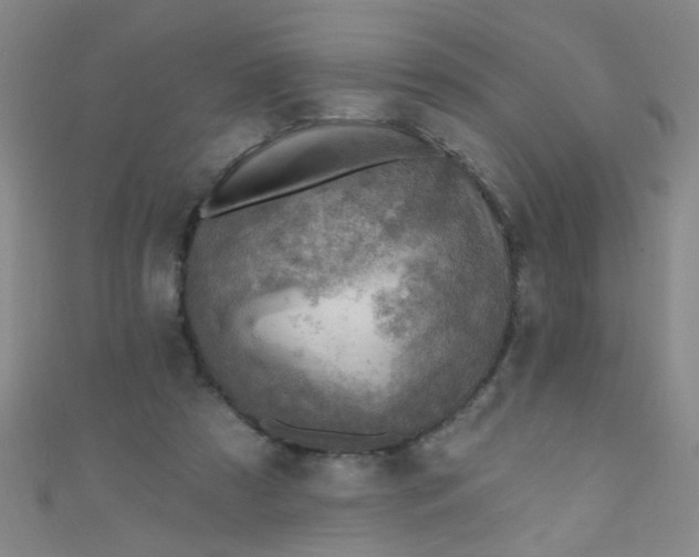 X0000110980305200907022102