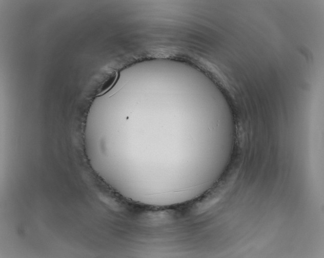 X0000110980307200907022102