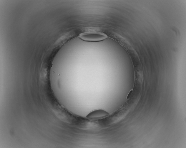 X0000110980308200907022102