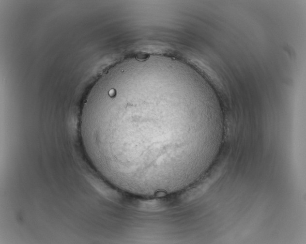 X0000110980309200907022102