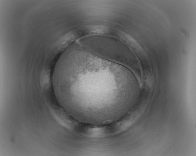 X0000110980312200907022102