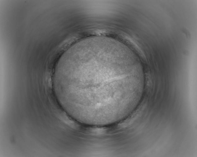 X0000110980313200907022102