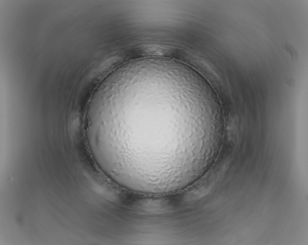 X0000110980314200907022102