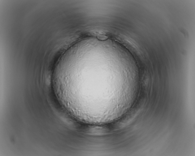 X0000110980315200907022102