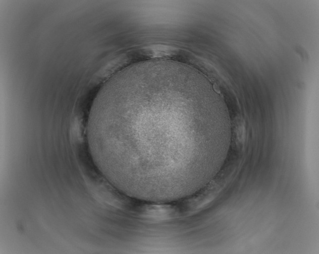 X0000110980316200907022102