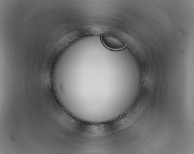 X0000110980317200907022102