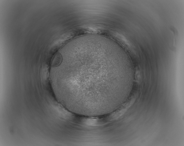 X0000110980318200907022102