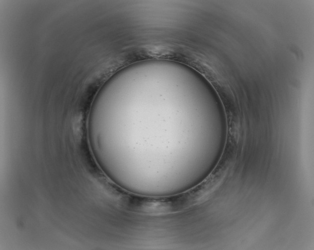 X0000110980319200907022102