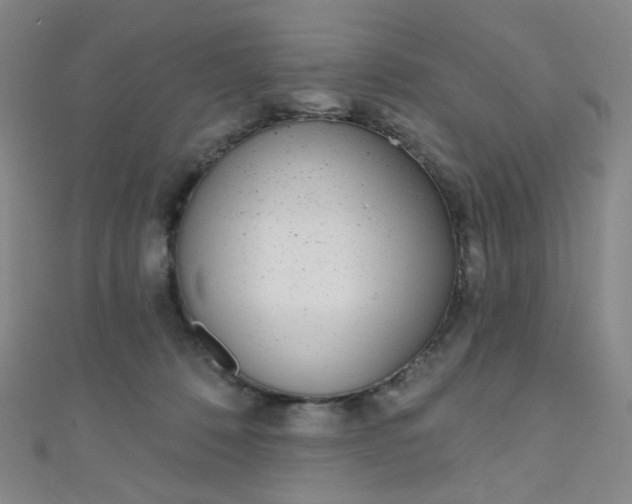 X0000110980320200907022102