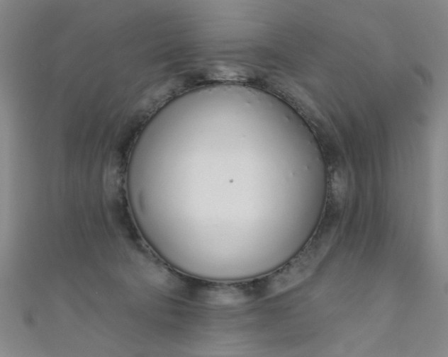 X0000110980322200907022102