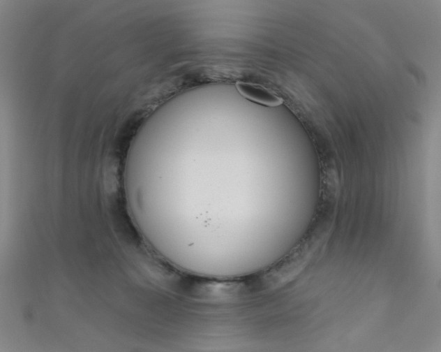 X0000110980323200907022101