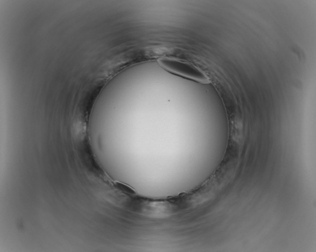 X0000110980324200907022101