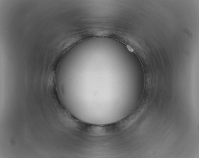 X0000110980325200907022101