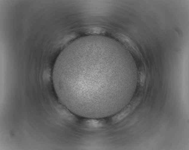 X0000110980326200907022101