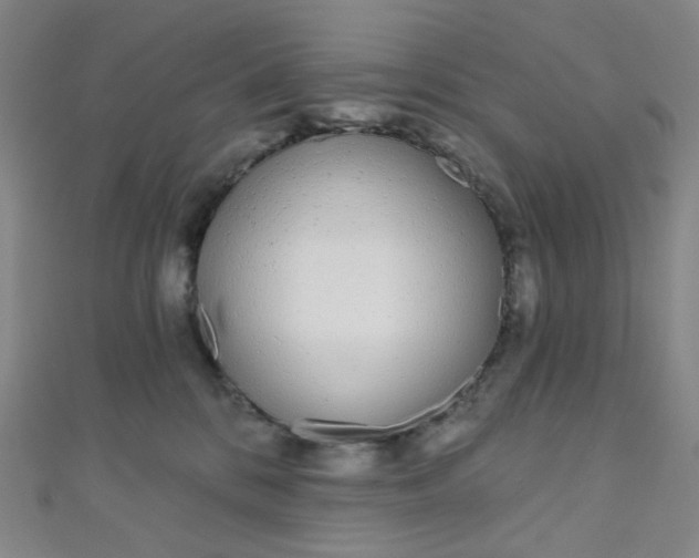 X0000110980328200907022101