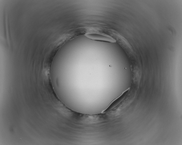 X0000110980329200907022101