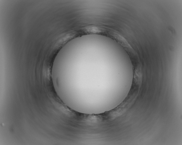 X0000110980330200907022101