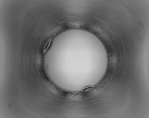 X0000110980331200907022101