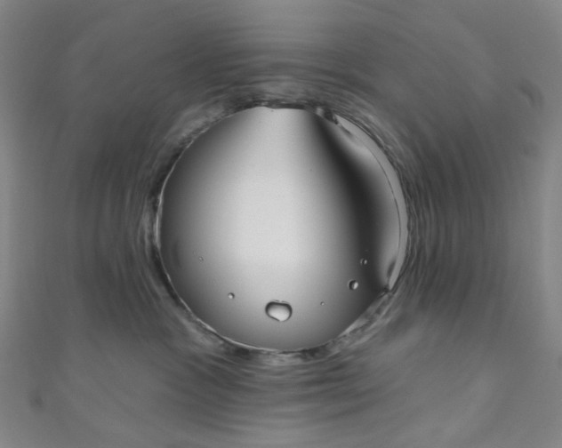 X0000110980333200907022101