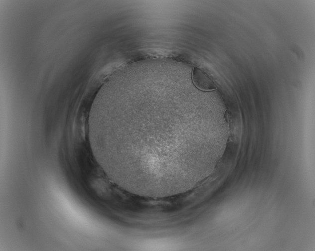 X0000110980334200907022101