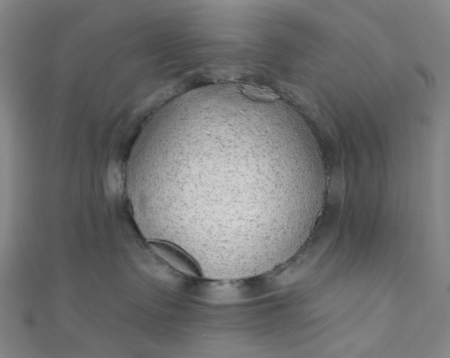 X0000110980335200907022101