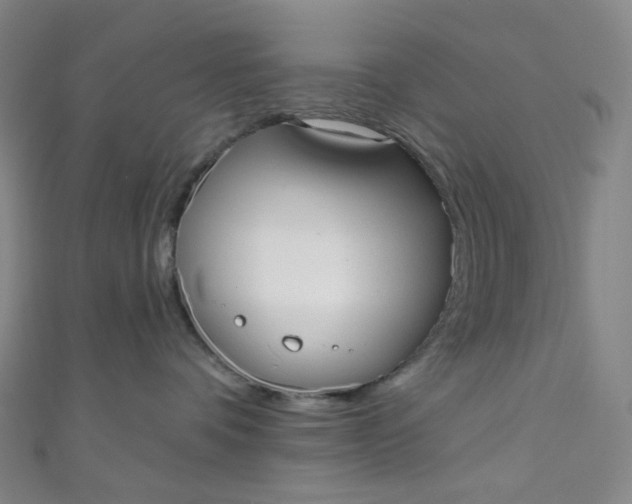 X0000110980336200907022101