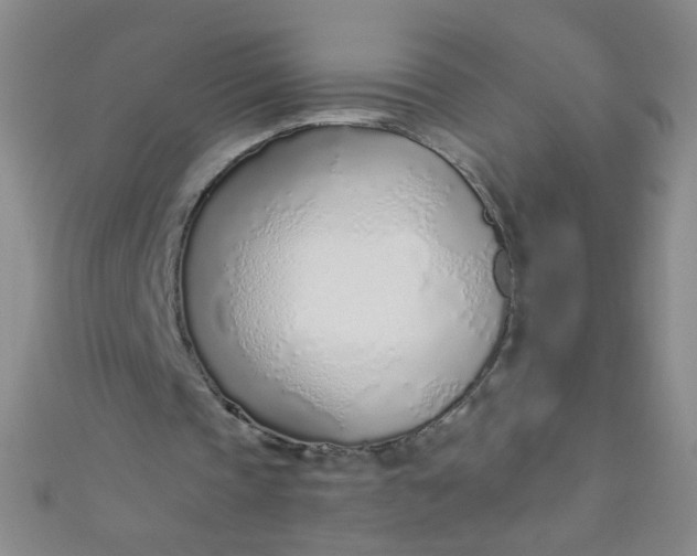 X0000110980337200907022101