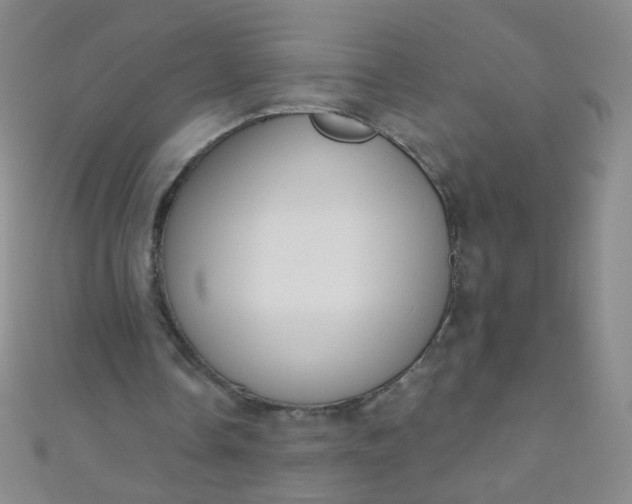 X0000110980338200907022101