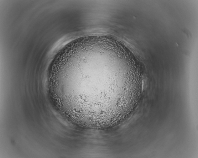 X0000110980339200907022101