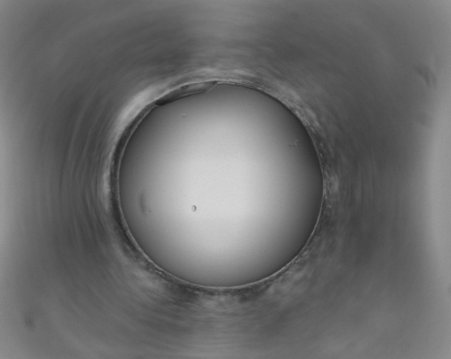 X0000110980340200907022101