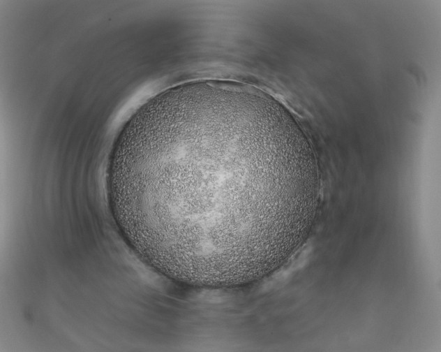 X0000110980341200907022101