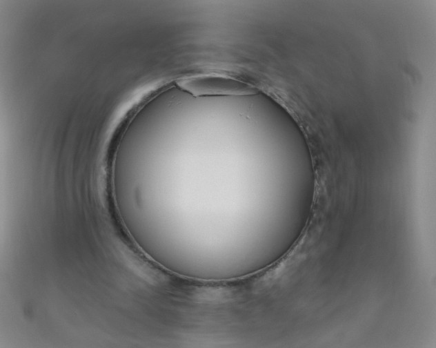 X0000110980342200907022101